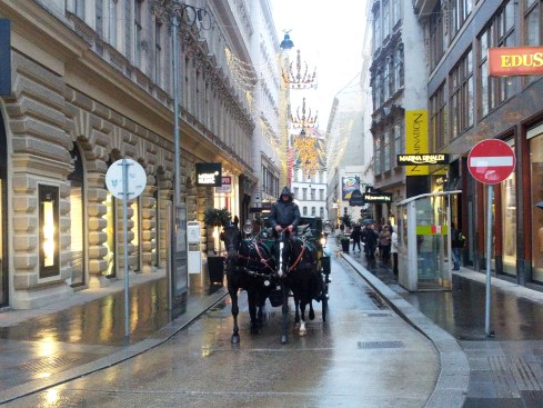 Wet winter streets in Vienna