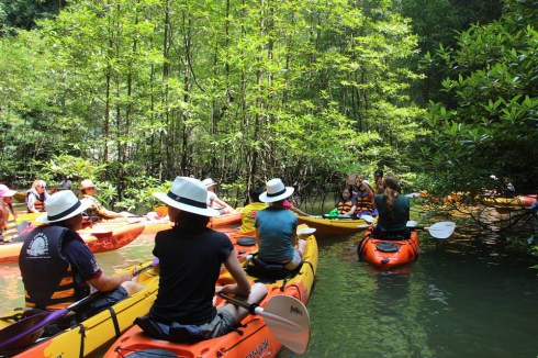 Kayaking in Krabi