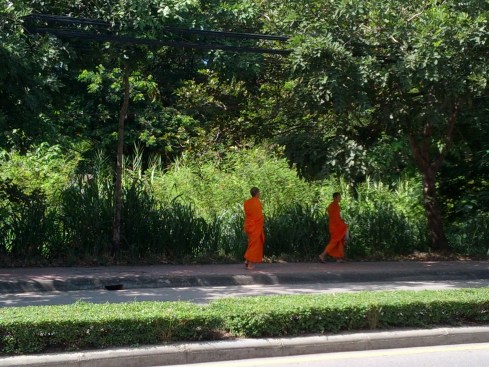 My Walking Companions the Monks